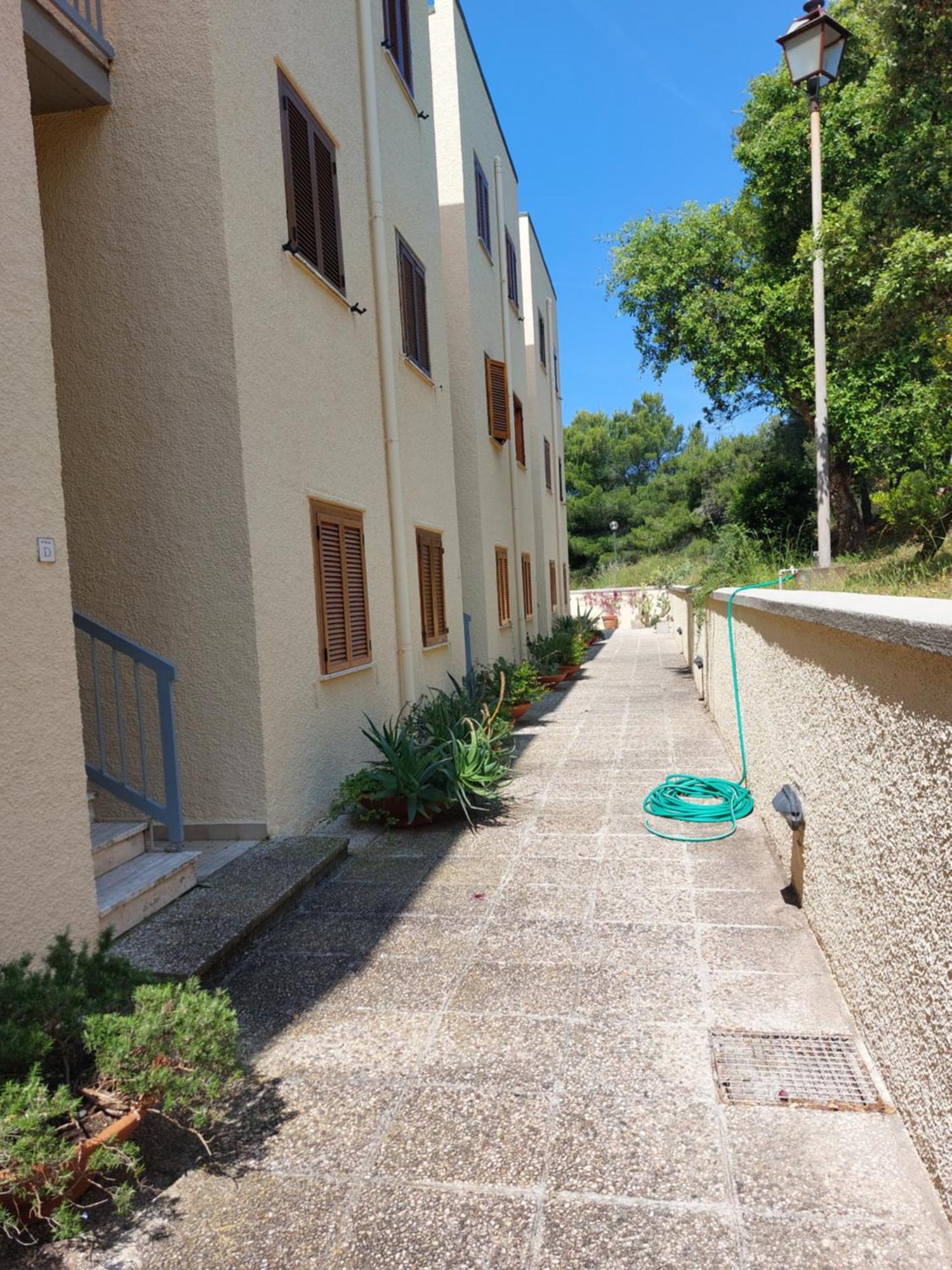 La Mia Casa A Talamone Appartement Buitenkant foto